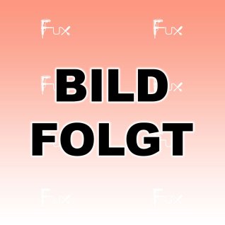 Makita UX 01 GZ 01 Akku-CombiExpress 